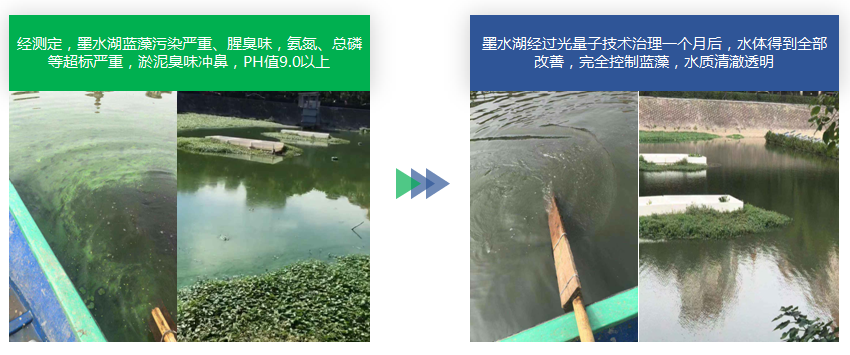 微信截圖_20201231114321.png